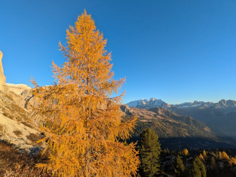 Goldener Herbst