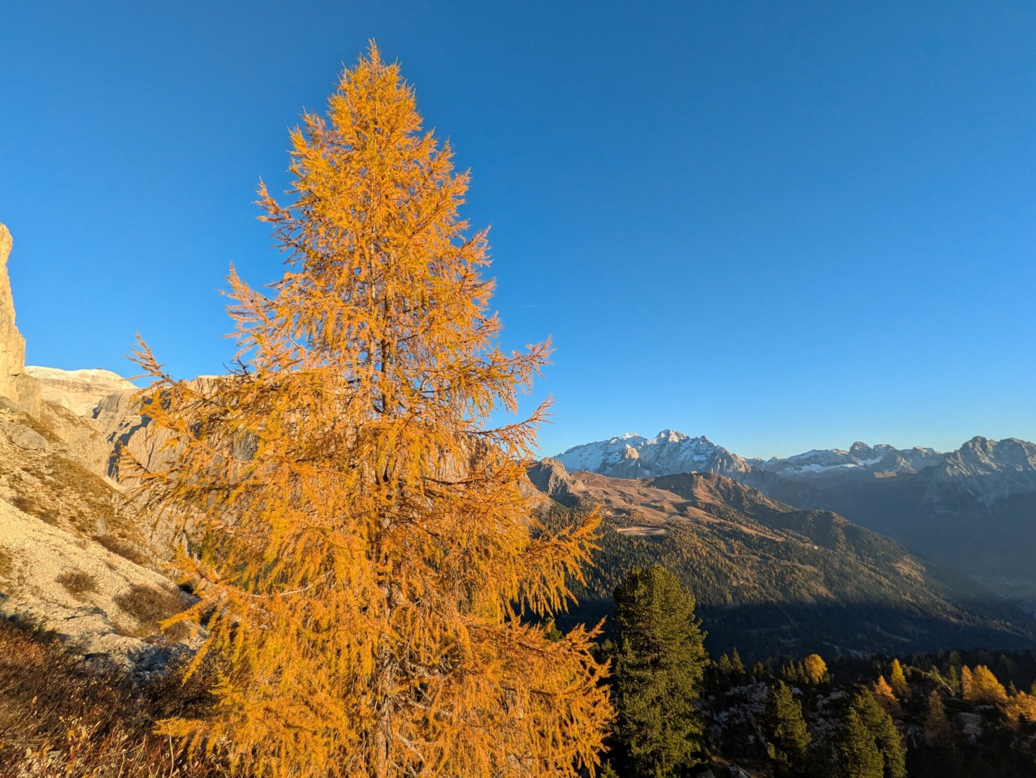 Goldener Herbst