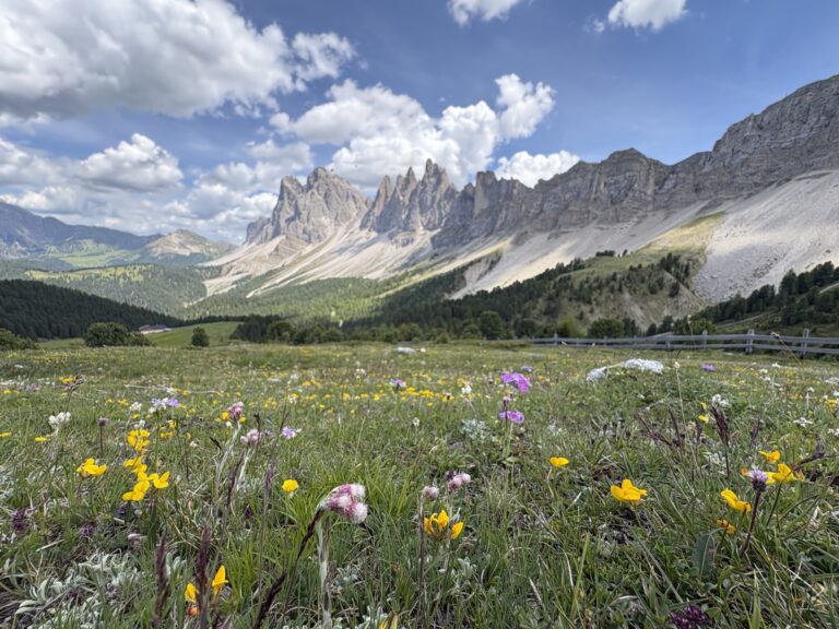Südtirol – Sommer 2026