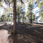 Campingplatz Tamadaba