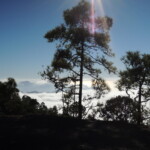 Landschaft in Tamadaba