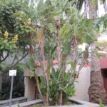 Park von Santa Lucia