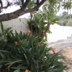 Park von Santa Lucia