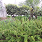 Park von Santa Lucia