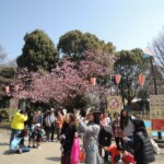 Ueno Park