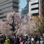 Ueno Park