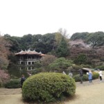 Shinjuku Gyoen Park