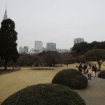 Shinjuku Gyoen Park Shinjuku Gyoen Park