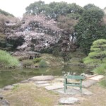 Shinjuku Gyoen Park Shinjuku Gyoen Park