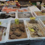 Auf dem Fischmarkt