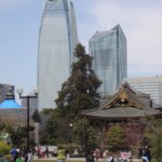 Cityblick