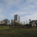 Rikyu Garden - Stadtblick