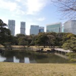 Rikyu Garden - Stadtblick