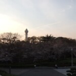 Tenshiba am Abend Tenshiba am Abend