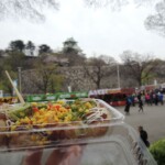 Takoyaki Takoyaki