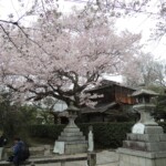 Kyoto Kyoto