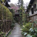 Kyoto Kyoto