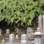 Gio-Ji Gio-Ji