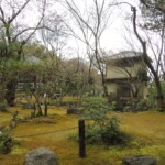 Gio-Ji Gio-Ji