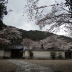 Kyoto Kyoto