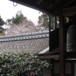 Ryoan-ji Ryoan-ji