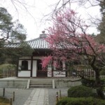 Ryoan-ji Ryoan-ji