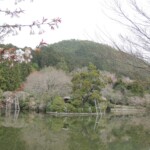 Ryoan-ji Ryoan-ji