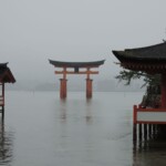 The Great Torii