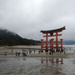 The Great Torii