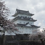 Odawarajo Odawarajo