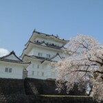 Odawarajo Odawarajo