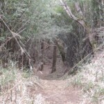 Wanderweg Wanderweg