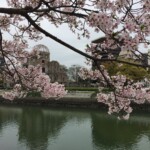 Sakura mit A-Bomb Dome