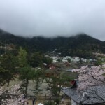 Blick über Miyajima