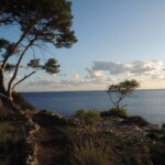 Bei Cala Santanyi