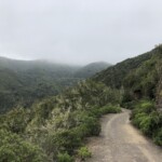 Monte del agua
