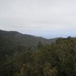Lorbeerwald beim Monte del agua