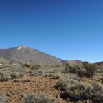 Teide