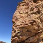 Boom im Sektor Fraggle Rock (6a+, angeblich schönste Route hier)