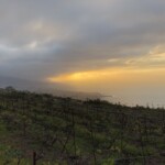 Abenddämmerung von Sta. Ursula richtung Puerto de la Cruz