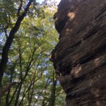 Minimops (6a)