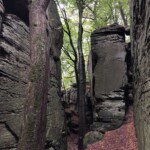 Felsen (: