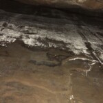 In der Höhle