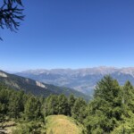 Ausblick Ausblick