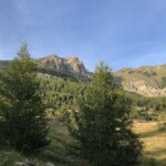 Le Méale Le Méale