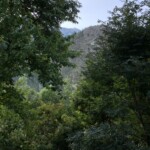 Blick aus dem Bad Blick aus dem Bad
