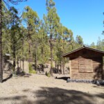 Campingdorf im Wald