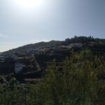 Vilaflor