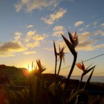 Sonnenaufgang