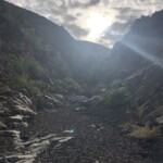 Tamadaba Schlucht
